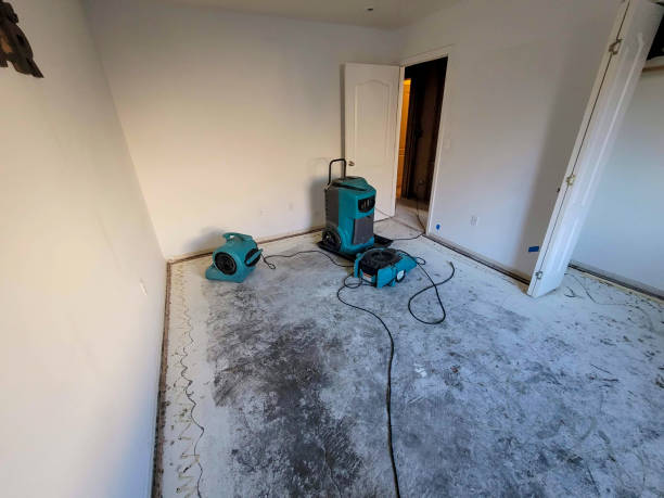 Best Water damage restoration near me  in Ponder, TX