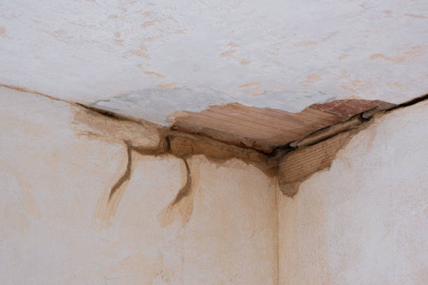 Best Ceiling water damage repair  in Ponder, TX