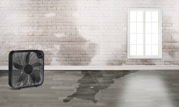 Best Water damage cleanup near me  in Ponder, TX