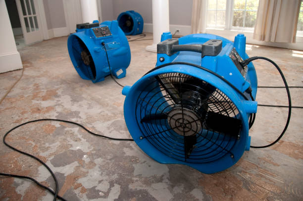 Best Water damage restoration cost  in Ponder, TX