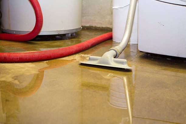 Best Mold removal after water damage  in Ponder, TX